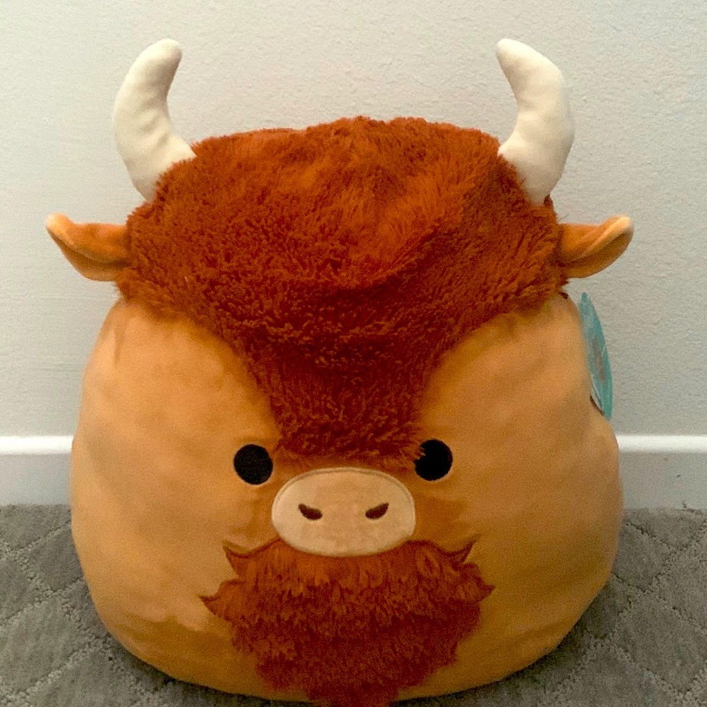 Medium sized squishamllow bull named “Dunkie”